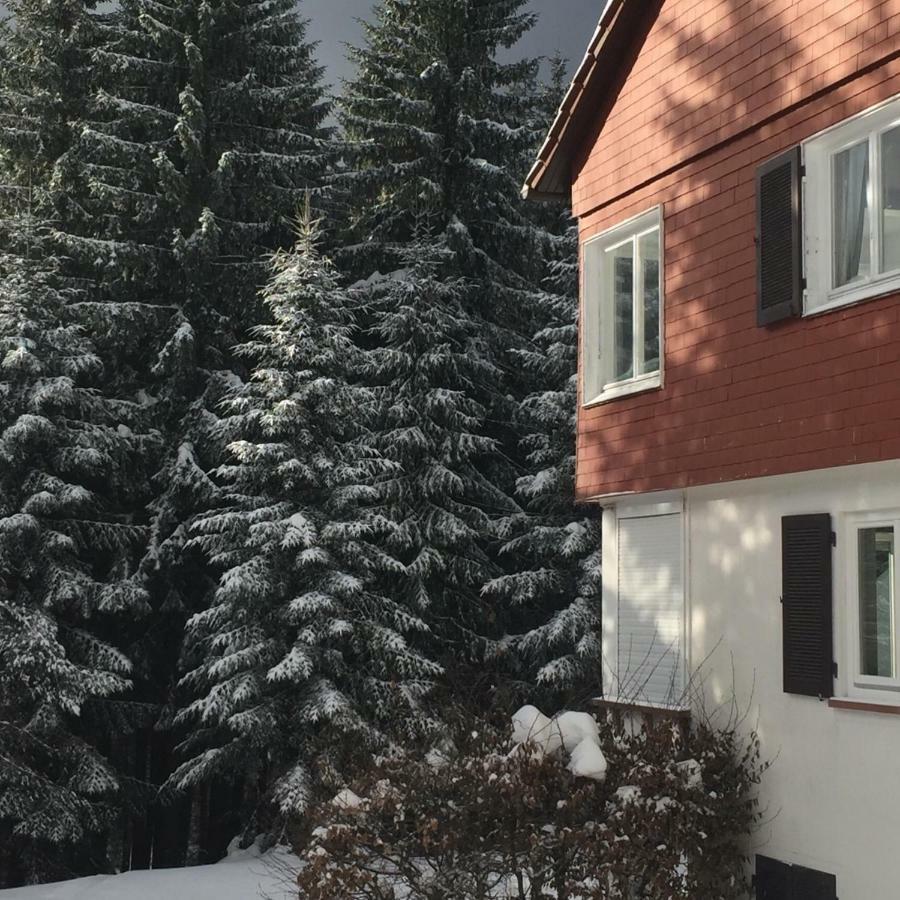 Ferienwohnung Boerner Kniebis Exteriör bild
